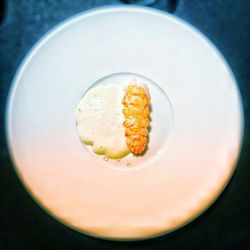 Aska - Langoustine