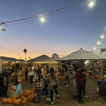 MrBones - Interior - Attraction Farms Near Me - Culver City, California MrBones - Interior - Attraction Farms Near Me - Culver City, California