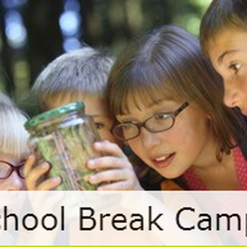 Imagine Arts Academy - Summer Camps Near Me - Fair Lawn, New Jersey Imagine Arts Academy - Summer Camps Near Me - Fair Lawn, New Jersey
