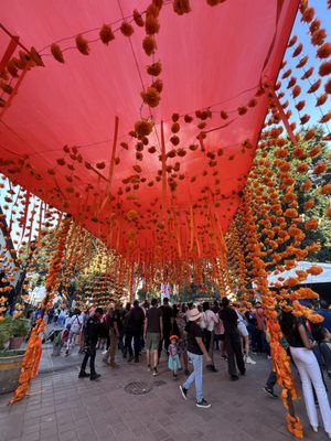 Zócalo de la Ciudad de Oaxaca (Plaza de La Constitución) by null