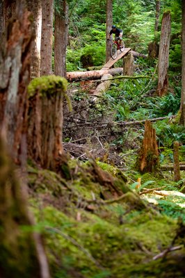 Chucks Bikes by null