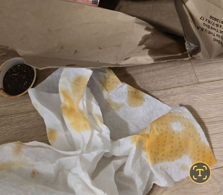 Giraffe Ramen by null