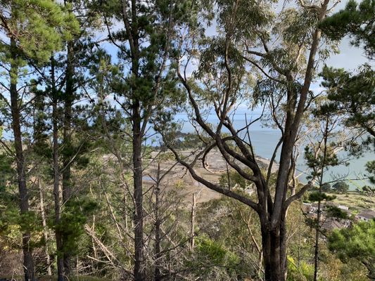 Bayview Park by null