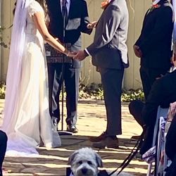 Woodhaven Pointe - Getting married with their one year old ring barrier, Rocky.