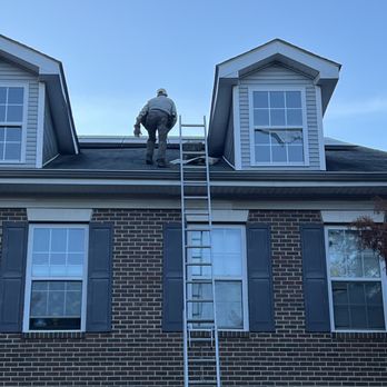 Rapid Wildlife Control - Seddiq was quick to come out and retrieve a trapped Raccoon! Great customer service and took great care in the handling of the raccoon! - Wildlife Control Near Me - Catonsville, Maryland