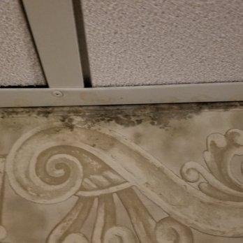 Radisson Hotel Philadelphia Northeast - Mold on the walls - Hotels Near Me - Trevose, Pennsylvania