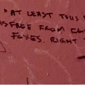 Communist's Daughter - Bathroom Graffiti - Bars Near Me - Toronto, Ontario