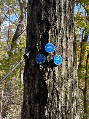 Hudson Highlands State Park by null
