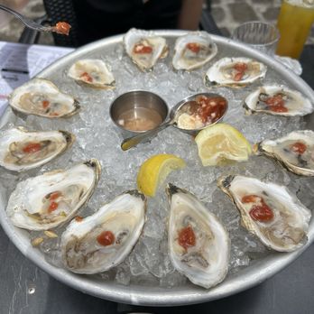 The Daily Catch - Oysters - Seafood Near Me - Boston, Massachusetts The Daily Catch - Oysters - Seafood Near Me - Boston, Massachusetts