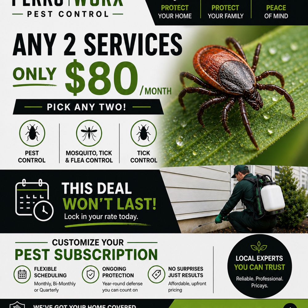 Affordable Pest Control near Me Monthly: Reliable & Budget-Friendly Tips