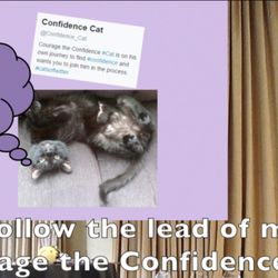 Bold Adulting - Courage the Confidence Cat is the adorable mascot for BoldAdulting. Watch the 14 confidence tips at http://bit.ly/confidence-tips-y