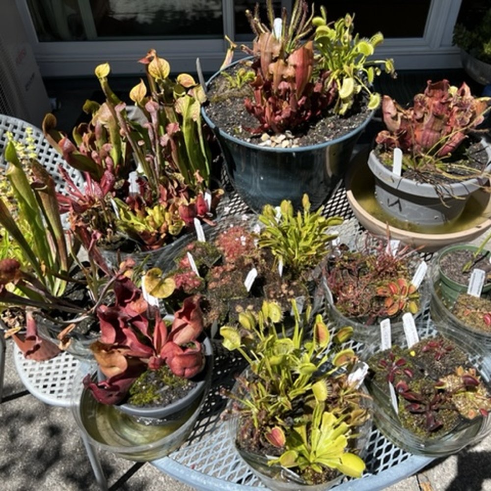 California Carnivores - Nurseries & Gardening Near Me - Sebastopol, California California Carnivores - Nurseries & Gardening Near Me - Sebastopol, California