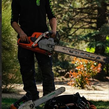 Ohana Tree Bros - Tree Services Near Me - Reno, Nevada Ohana Tree Bros - Tree Services Near Me - Reno, Nevada