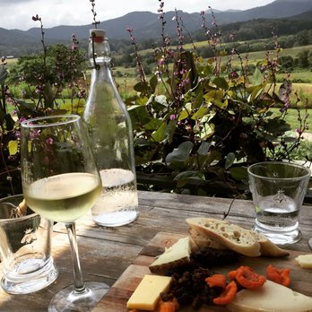 Norm’s Executive Transportation - Beautiful views and amazing food at Pippin Hill! - Wine Tours Near Me Norm’s Executive Transportation - Beautiful views and amazing food at Pippin Hill! - Wine Tours Near Me