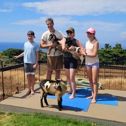 Lahaina Goat Yoga - A family adventure, Maui memories!