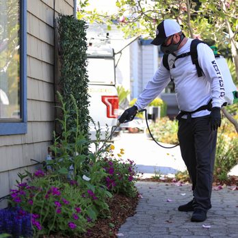 West Pest - Pest Control Near Me West Pest - Pest Control Near Me