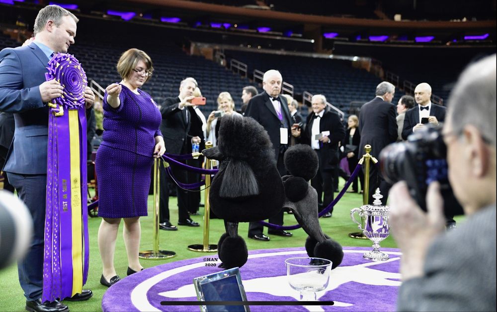 LAKESIDE PET RESORT Updated September 2024 15 Photos 831 Blooming