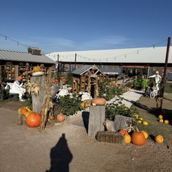 Mainstay Farm