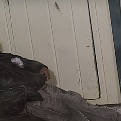 Sparks City Hall - This individual was asleep on the old terry motel property on victorian avenue last night
