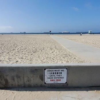 Rosie's Dog Beach - Dog Parks Near Me - Long Beach, California Rosie's Dog Beach - Dog Parks Near Me - Long Beach, California