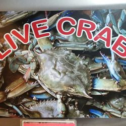 Crab Plus - Live crab