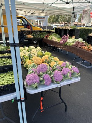 placentia certified farmers market by null