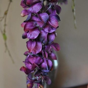 Serenity Massage - Massage Near Me - Belleville, Illinois