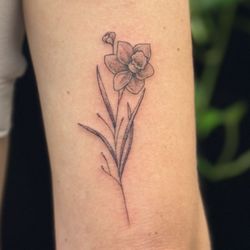 Artist Life Tattoo - Fine line tattoo of a delicate flower daffodil on the back of the arm
