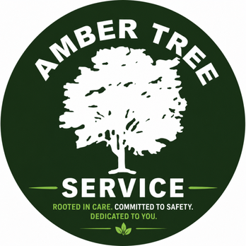 Amber Tree Service - Tree Services Near Me - Holland, Ohio Amber Tree Service - Tree Services Near Me - Holland, Ohio