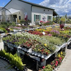 Windridge Perennials & Landscaping