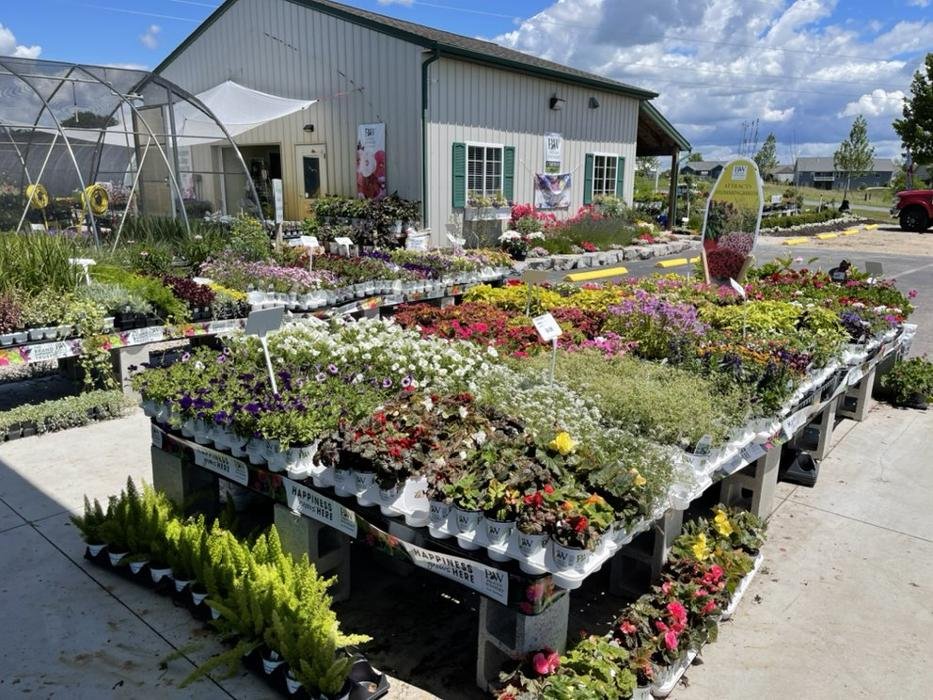 WINDRIDGE PERENNIALS & LANDSCAPING Updated October 2024 165 Photos 7364 Adams St, Zeeland
