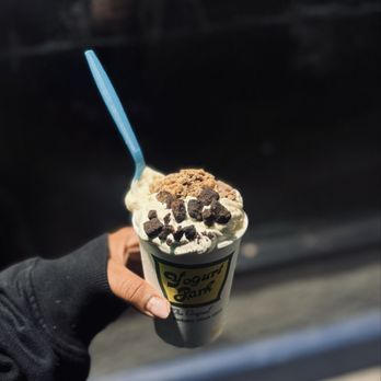 Yogurt Park - Vanilla - Ice Cream & Frozen Yogurt Near Me - Berkeley, California
