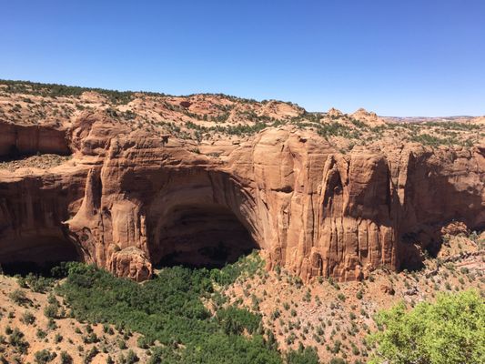 Navajo National Monument by null