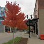 Photo of Theater Square