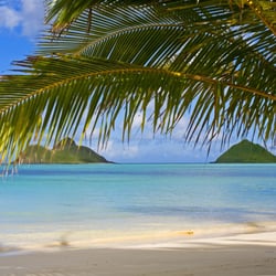 Travel To Paradise