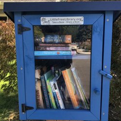 Little Free Library - Usual Blue book box