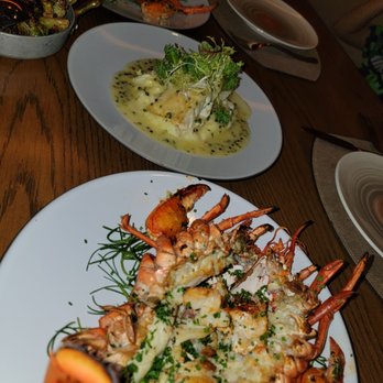 Harvest - New American Near Me - Las Vegas, Nevada Harvest - New American Near Me - Las Vegas, Nevada