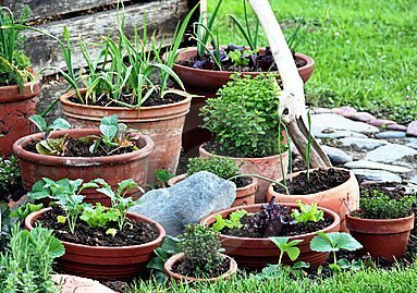 Grabber & Sons Landscaping and Nursery - tree service in Cheektowaga, NY