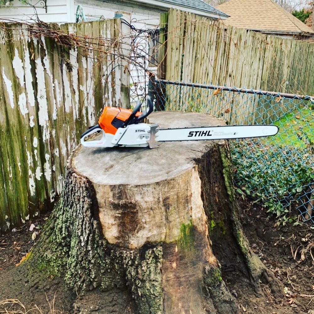 Iggy B Stump Grinding - tree service in Springfield, MA