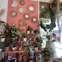 WildFlora - Plants succulents pots mirrors