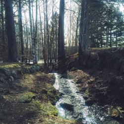 Bugårdsparken - Vårtegn