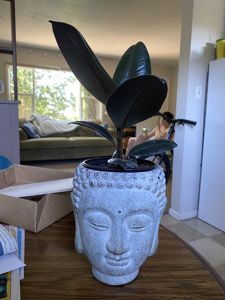 Garden Spot Nursery - 32 Photos & 15 Reviews - Nurseries & Gardening