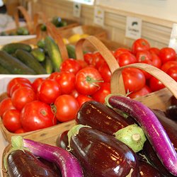 Cucurbit Farm - Cucurbit Farm produce - farm fresh vegetable bounty