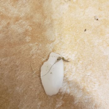 Econo Lodge - Used soap....complete with hair left in the bathroom. - Hotels Near Me - Tracy, California Econo Lodge - Used soap....complete with hair left in the bathroom. - Hotels Near Me - Tracy, California