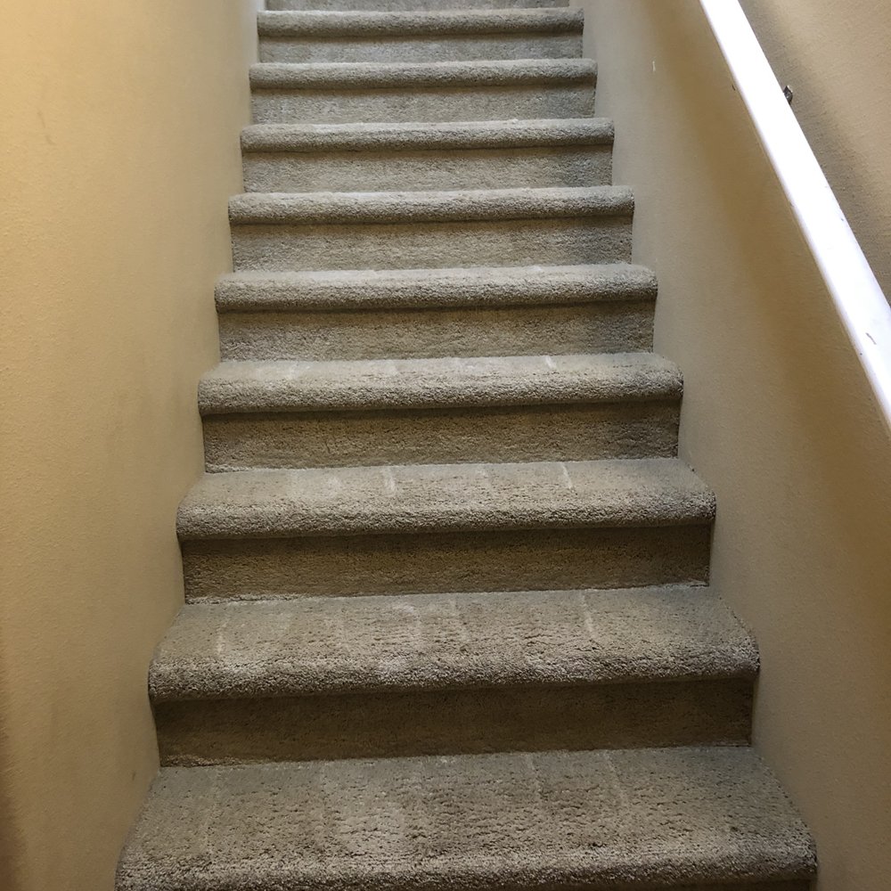 Husky Carpet Cleaning - After.....carpet is happy now - Carpet Cleaning Near Me - Clackamas, Oregon