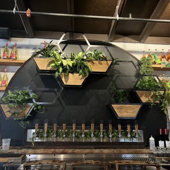 Wicked Weed Funkatorium - Wines on tap and some beautiful greenery! - Brewpubs Near Me - Asheville, North Carolina