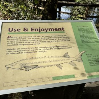 Bonneville Dam Fish Hatchery - Aquariums Near Me - Cascade Locks, Oregon