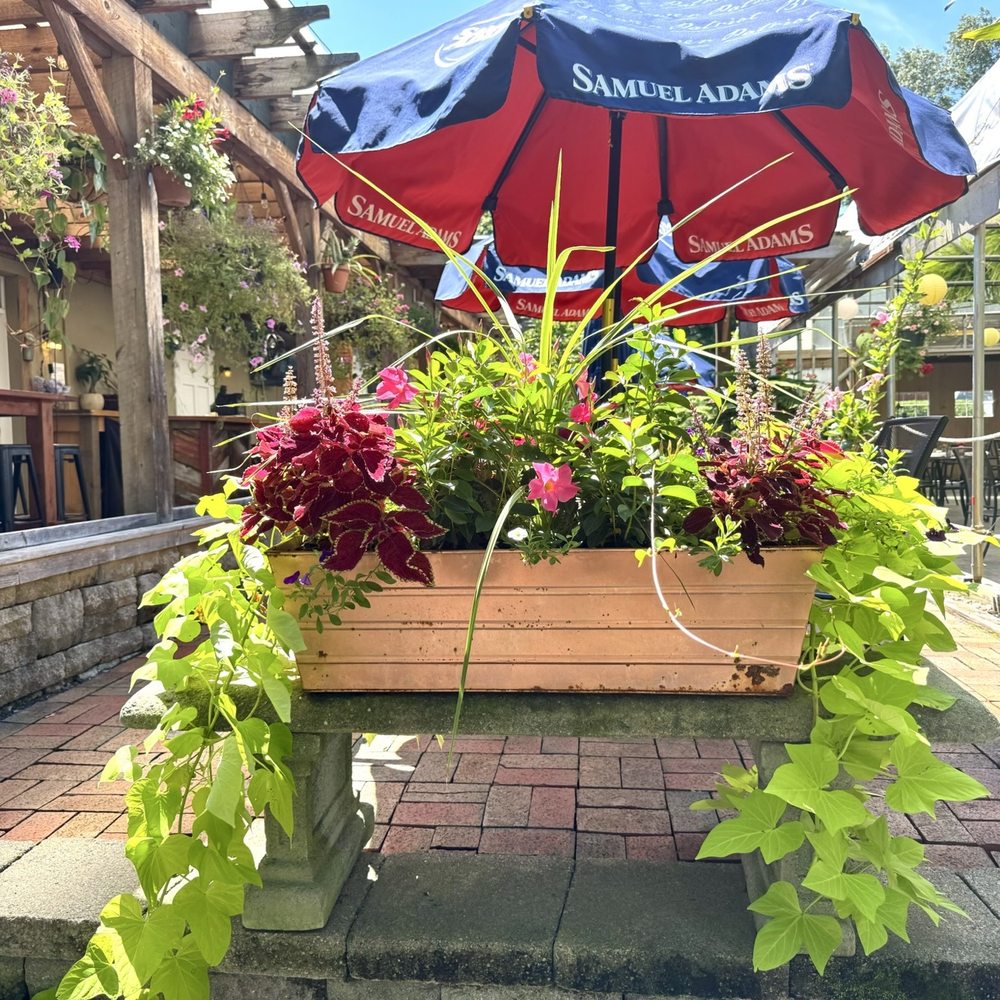 Greenhouse Cafe & Tavern - Cafes Near Me - Burlington, Connecticut Greenhouse Cafe & Tavern - Cafes Near Me - Burlington, Connecticut