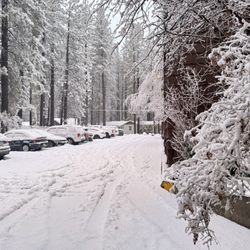 Snow Lake Lodge in Big Bear Lake gift card