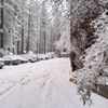 Snow Lake Lodge gift card